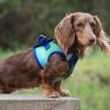 American River Choke-Free Mesh Dog Harness – Northern Lights Ombre