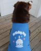 NEW - Birthday Boy Tank Shirt