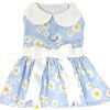 Blue Daisy Dog Dress