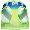 American River Choke-Free Mesh Dog Harness – Cobalt Sport Ombre