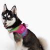 American River Choke-Free Mesh Dog Harness – Cotton Candy Ombre