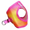 American River Choke-Free Mesh Dog Harness – Raspberry Pink & Orange Ombre