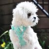 American River Choke-Free Mesh Dog Harness – Teal Polka Dot