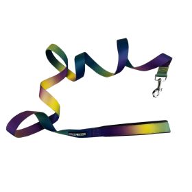 American River Ombre Leash - Cosmic Splash (Option: 5/8 inch wide
 x 4 feet long)