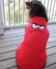NEW - Angry Face Dog Shirt - Flame Scarlet Red