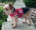 Cool Mesh Harness Hawaiian Hibiscus - Red