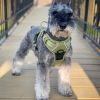 Venture Paw PULL CONTROL Harness - Aspen