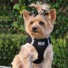 American River Choke-Free Mesh Dog Harness – Black Solid Ultra