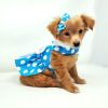 Blue Polka Dot Dress