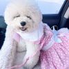 Polka Dot and Lace Dog Dress Set - Pink