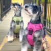 Venture Paw PULL CONTROL Harness - Aspen