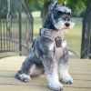 Venture Paw PULL CONTROL Harness - Sage