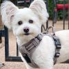 Venture Paw PULL CONTROL Harness - Sage