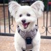 Venture Paw PULL CONTROL Harness - Sage