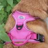 Venture Paw PULL CONTROL Harness - Wild Raspberry