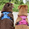 Venture Paw PULL CONTROL Harness - Wild Raspberry