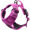 Venture Paw PULL CONTROL Harness - Wild Raspberry