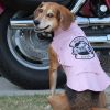 Biker Dawg Motorcycle Dog Jacket – Faux Leather Bad To The Bone Style - Pink