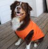 NEW - Happy Face Dog Shirt - Sunset Orange