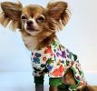 Soft Dog Pajamas - Dinos
