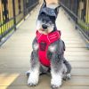 Venture Paw PULL CONTROL Harness - Crimson
