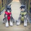 Venture Paw PULL CONTROL Harness - Crimson