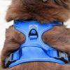 Venture Paw PULL CONTROL Harness - Mountain Lake