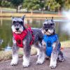 Venture Paw PULL CONTROL Harness - Mountain Lake