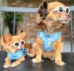 Wrap and Snap Hareness - Blue Daisy Print and Mesh Choke Free Step in Harness